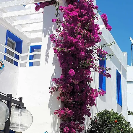 Paradise Hotel Gümbet